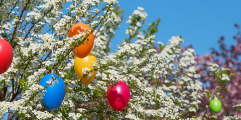Ostereier auf blühendem Baum